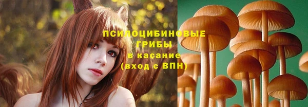бошки Наволоки